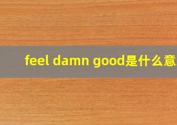 feel damn good是什么意思